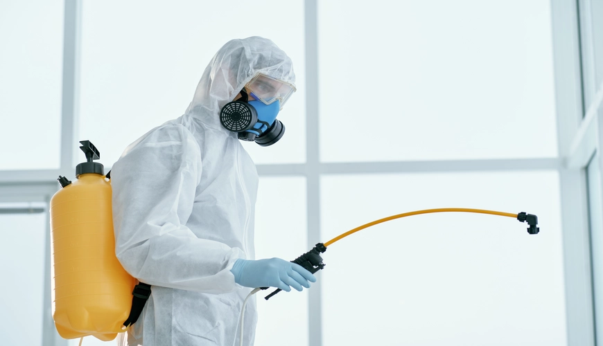 Safe and effective disinfectant application in Halifax